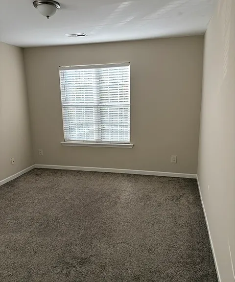 107 Lismore Park Dr — Photo 25