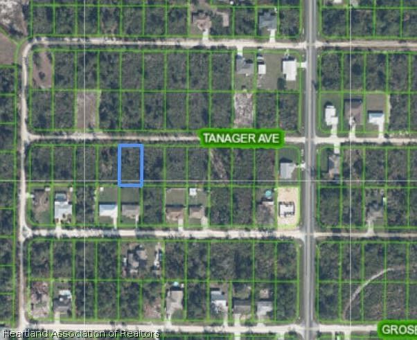 2nd image of 336 Tanager Ave