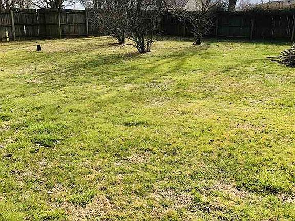 4th image of 181 Birdland Dr