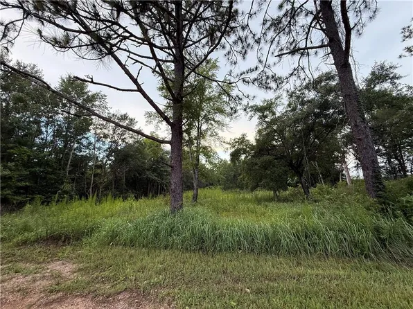 10224 Magnolia Rd, Irvington, AL 36544