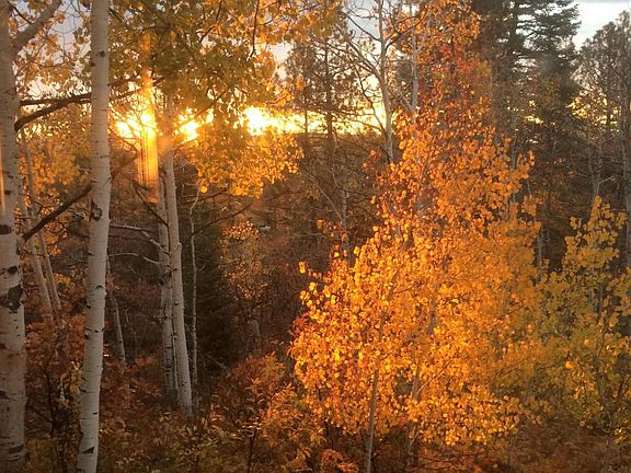 View from front deck