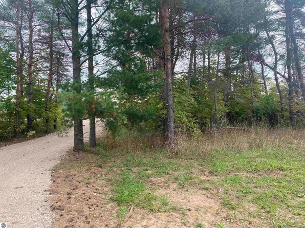 0 Maple City Hwy Lot A, Lake Ann, MI 49650