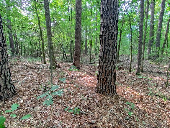 3rd image of 1286 County Road 3318 Lot Wp001