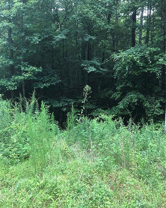 1st image of 0 Chopped Oak Rd Lot 157
