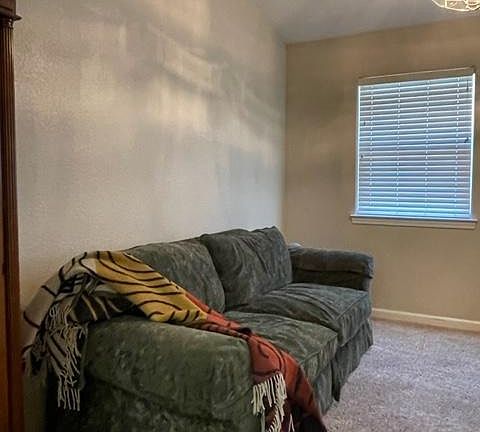 3rd image of 269 Canyon Creek Cir
