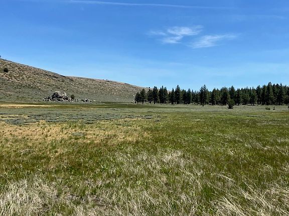 4th image of Doyle Grade