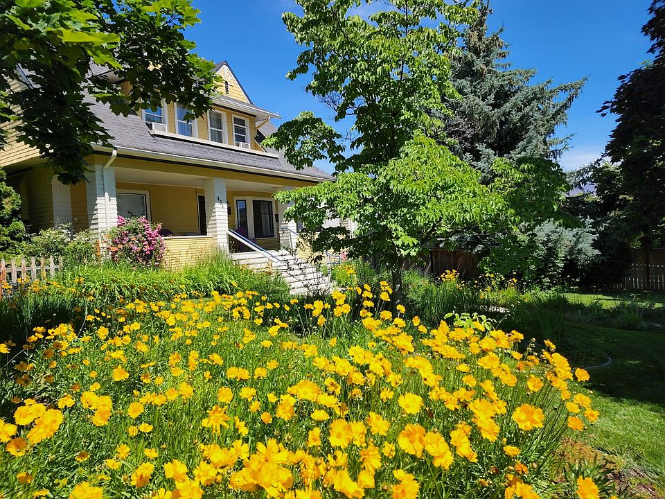 Beautiful front yard