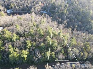 99999 Old Mount Olivet Rd #1 & 2, Zirconia, NC 28790