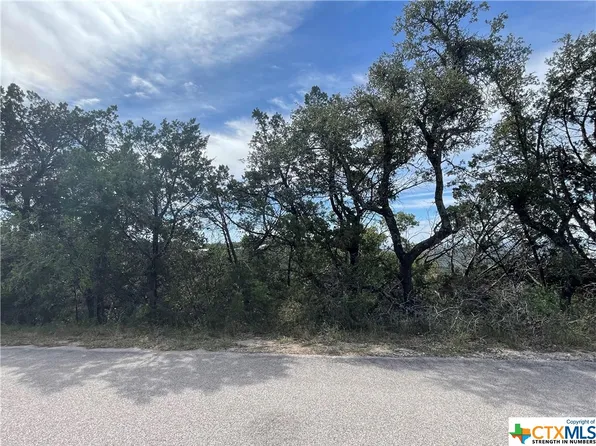 8622 Bluff Ridge Trl, Leander, TX 78645