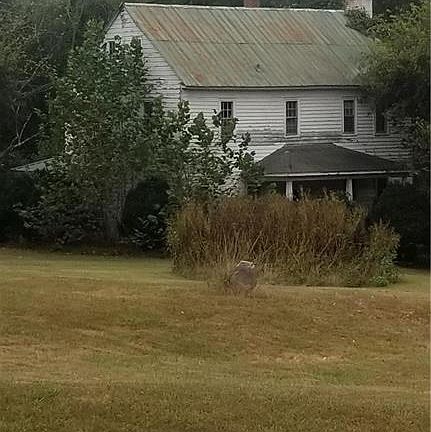 5th image of 1025 Penn Lo Dr