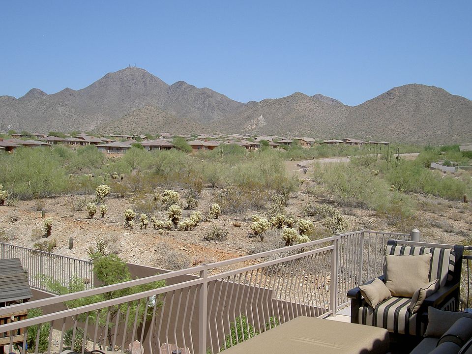 Amazing Desert 