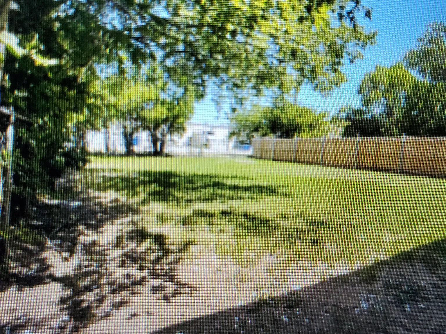 2 bed, 1000 sqft, $1,295 — Photo 3