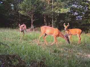Day Rd, Horseshoe Bend, AR 72512