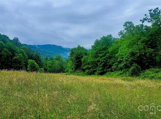 5595 Meadow Fork Rd, Hot Springs, NC 28743