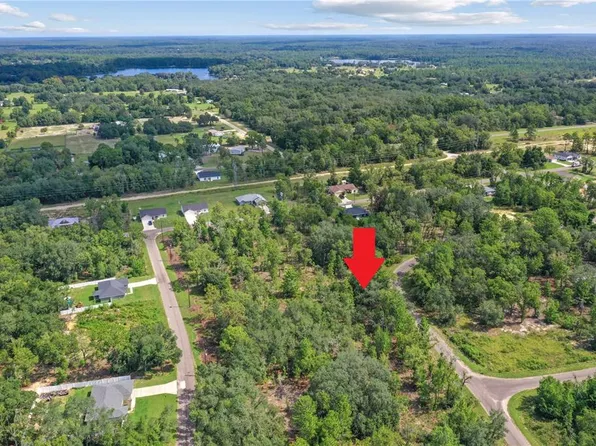 24 Guava Pass Dr Lot 16, Ocklawaha, FL 32179