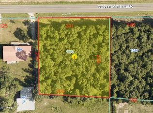 1000 Pineview Cemetery Rd, Seven Springs, NC 28578