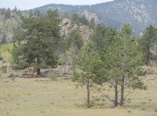 5444 San Juan St, Hartsel, CO 80449