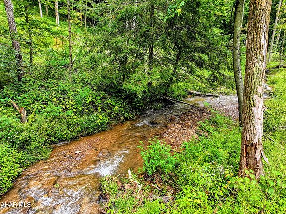 3rd image of 1069 Walters Hollow Rd
