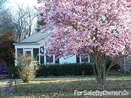 Beautiful tulip tree!
						:
						Annuals and azaleas waiting to bloom!