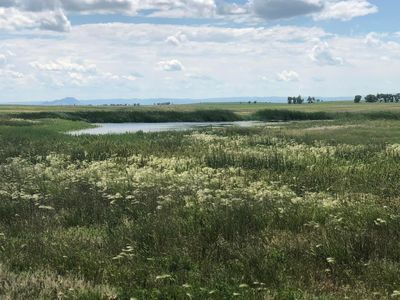 Old Highway 212, Newell, SD, 57760
