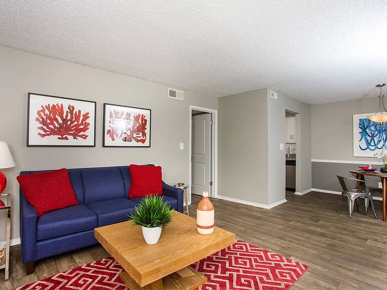 700 Riverchase Apartments — Photo 5