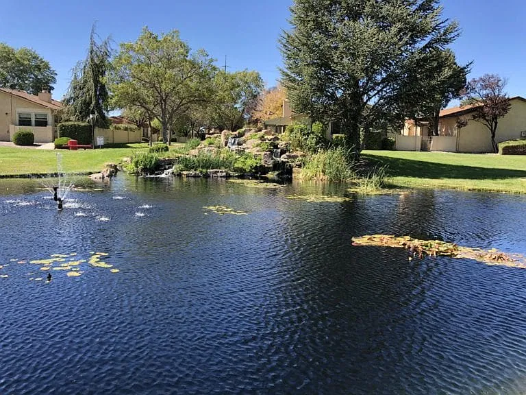 Pond