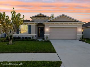 3843 Autumn Amber Dr, Spring Hill, FL 34609