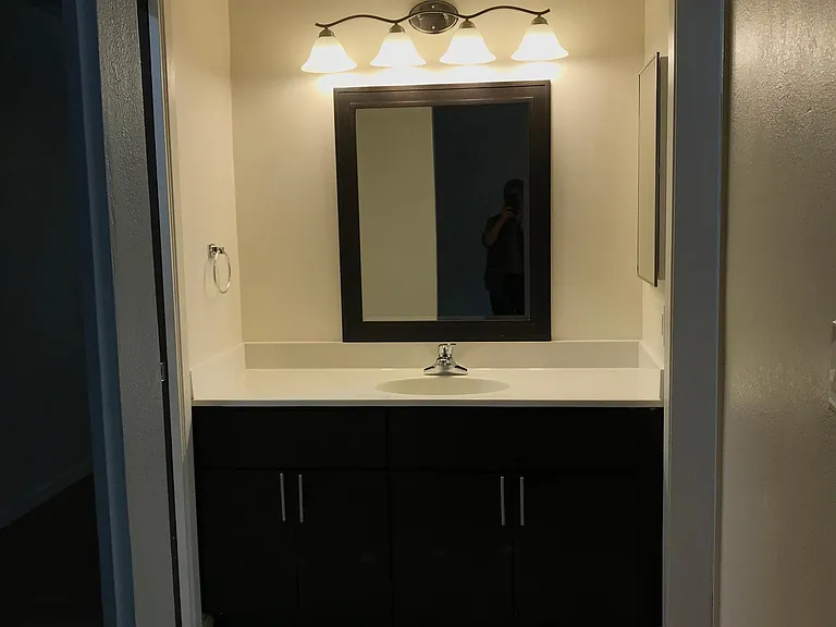 Master bathroom vanity