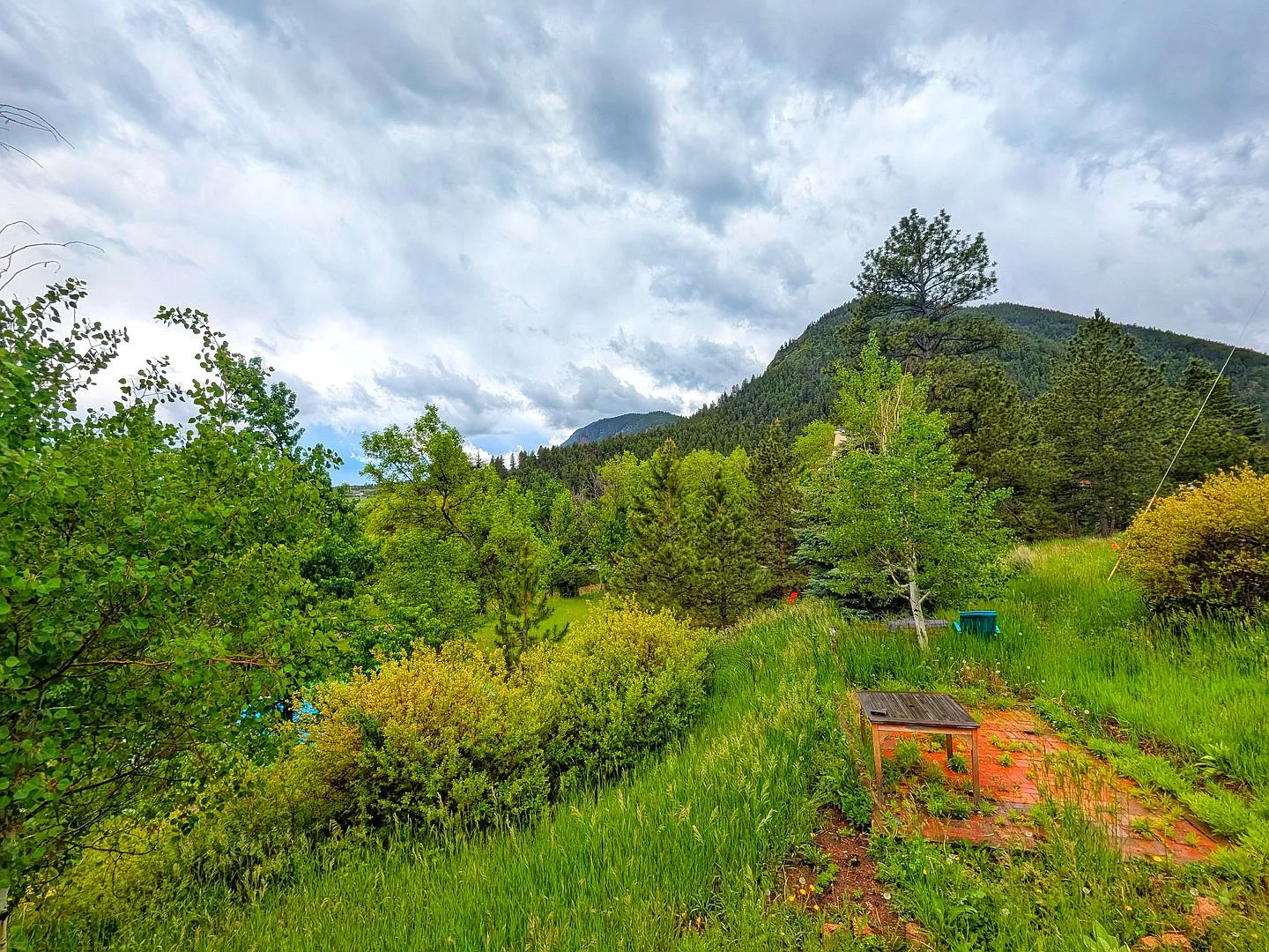 Fully Remodled Cabin in Palmer Lake with Amazing Views — Photo 4