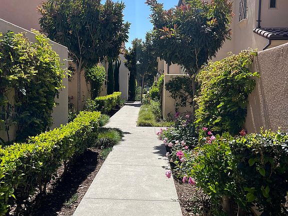 Walkway leading to the home...tranquil and peaceful