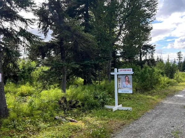 L23 Ryabina Rd, Anchor Pt, AK 99556