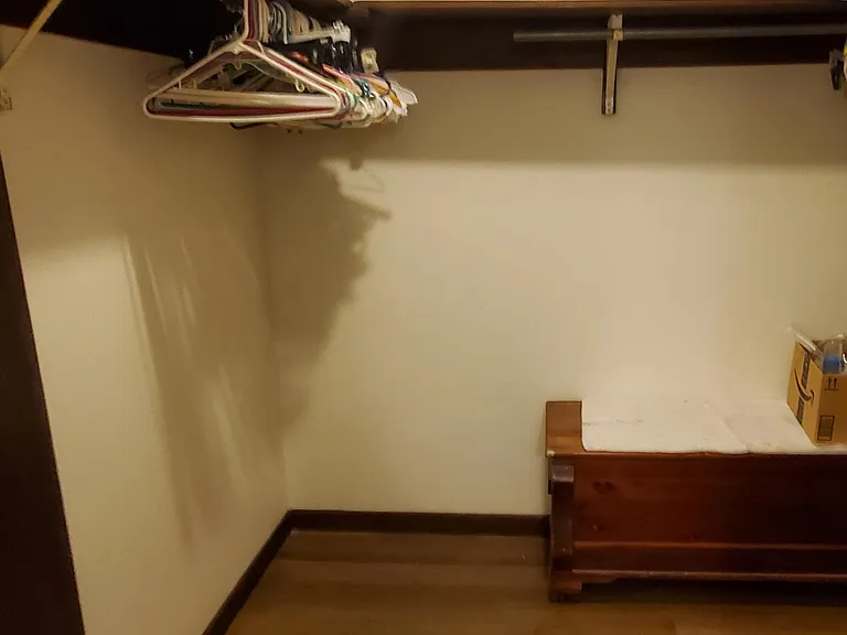Master Walk-in Closet