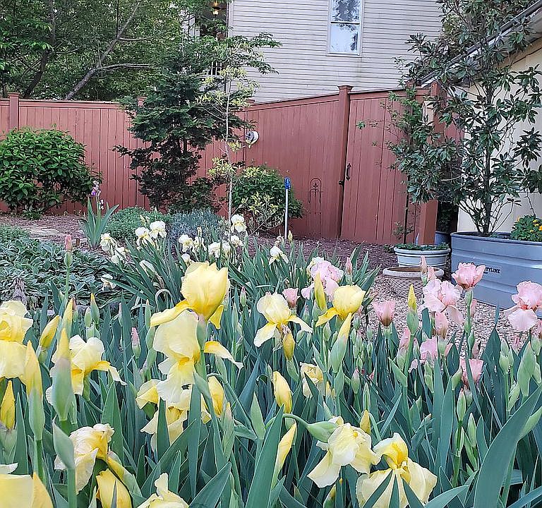 2nd image of 1632 Vesta Ave