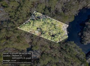 9 Trebor Ln, Sopchoppy, FL 32358