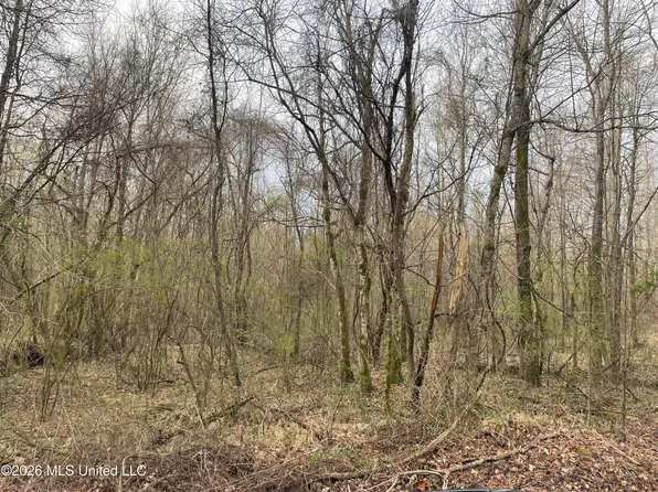 Bend Rd, Coldwater, MS 38618