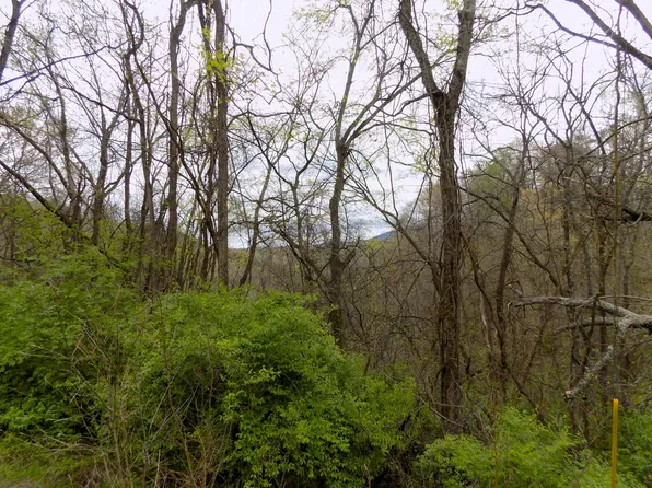 Par 67.14 Alpha Rd, Newport, TN 37821