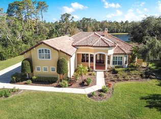 12113 Rambling Oak Blvd, Orlando, FL 32832