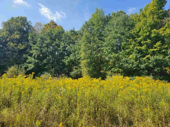 White Rd, Gladwin, MI 48624