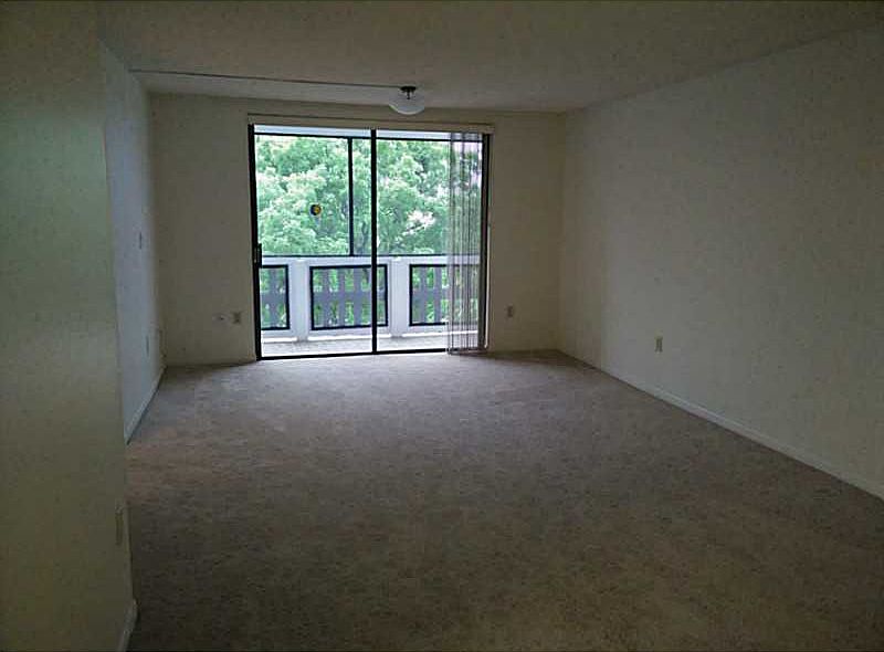 1st image of 919 Hillcrest Dr APT 411