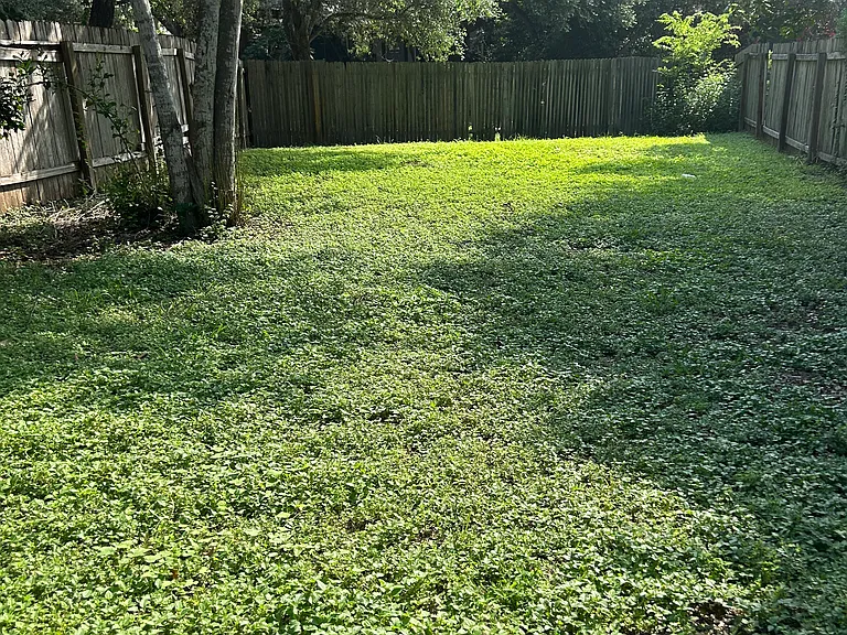 7230 Avery Rd — Photo 25