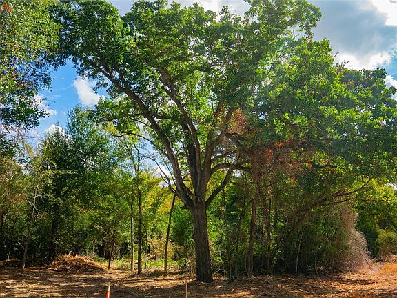 5th image of 12582 Red Hill Rd