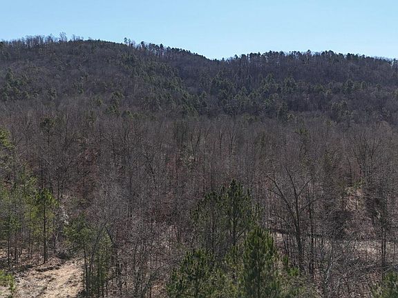 4th image of 461 Walnut Valley Rd