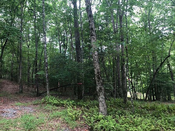 2nd image of LT 58 Riverwalk On Toccoa