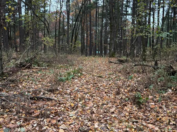 38 Jivaro St NW, Dalbo, MN 55017