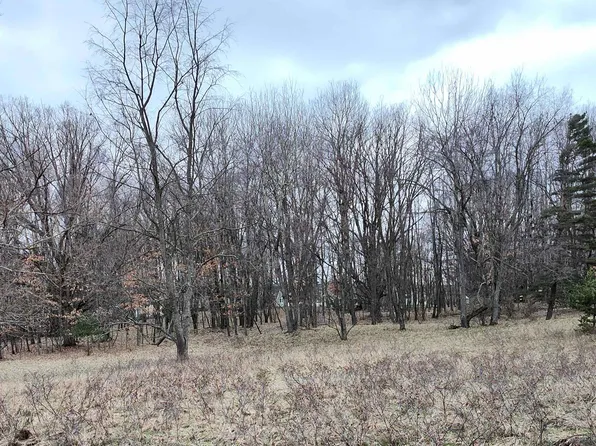 1040 Bundy Dr, Lake Isabella, MI 48893