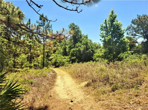 5089-5245 N Tanglewood Ave, Hernando, FL 34442