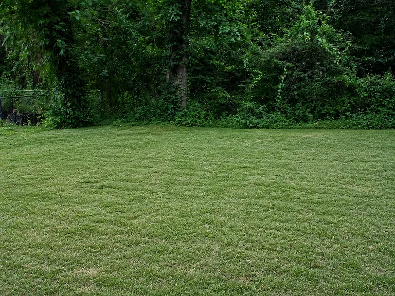 3925 Pixley Dr — Photo 12