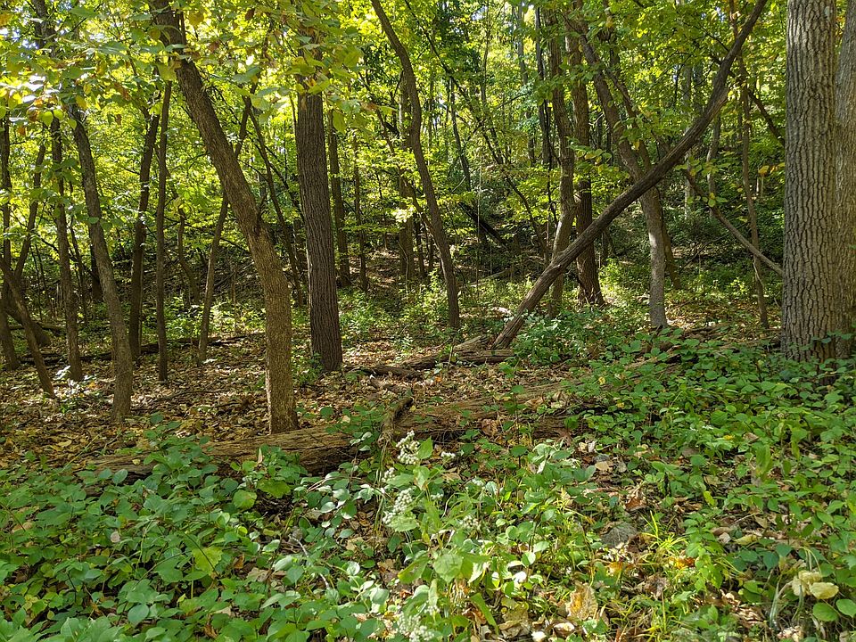 1st image of LOT 24 Lincoln Ave