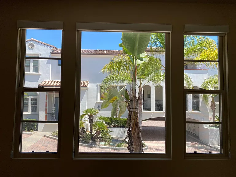 View from the living room window