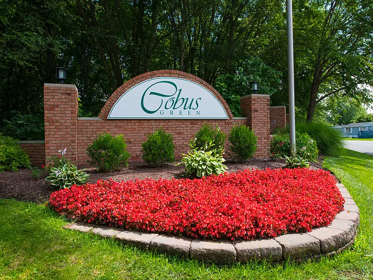 Cobus Green — Photo 7
